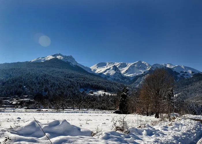 Anthemion アパート *