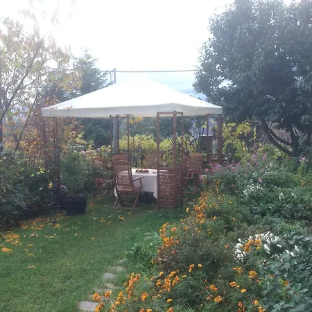 Apartman Anthemion