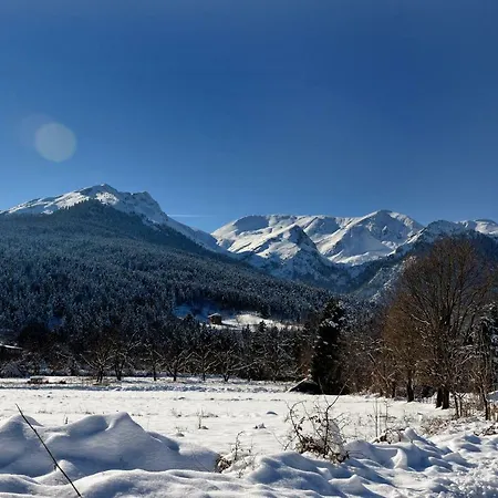 Anthemion Appartement *