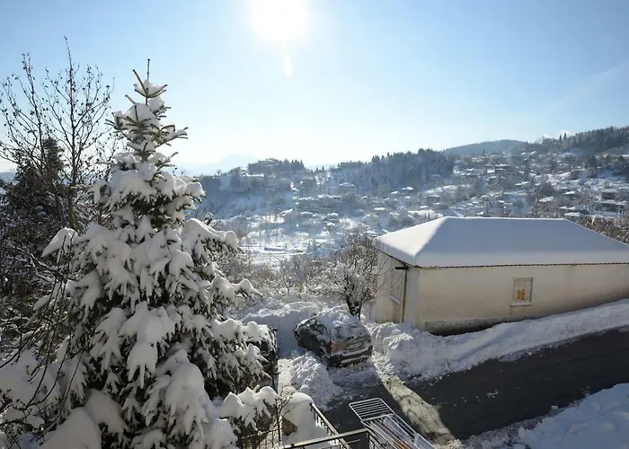 Anthemion Apartman Neohóri