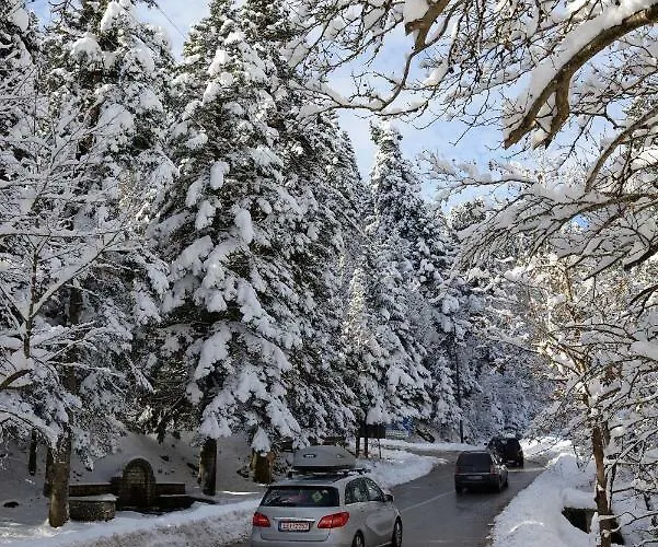 Anthemion Apartman Neohóri